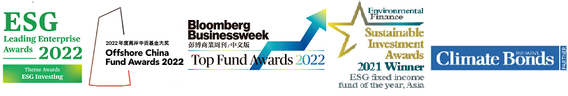 Fund of the year